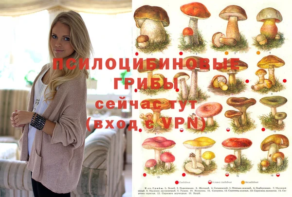 кокаин колумбия Аркадак